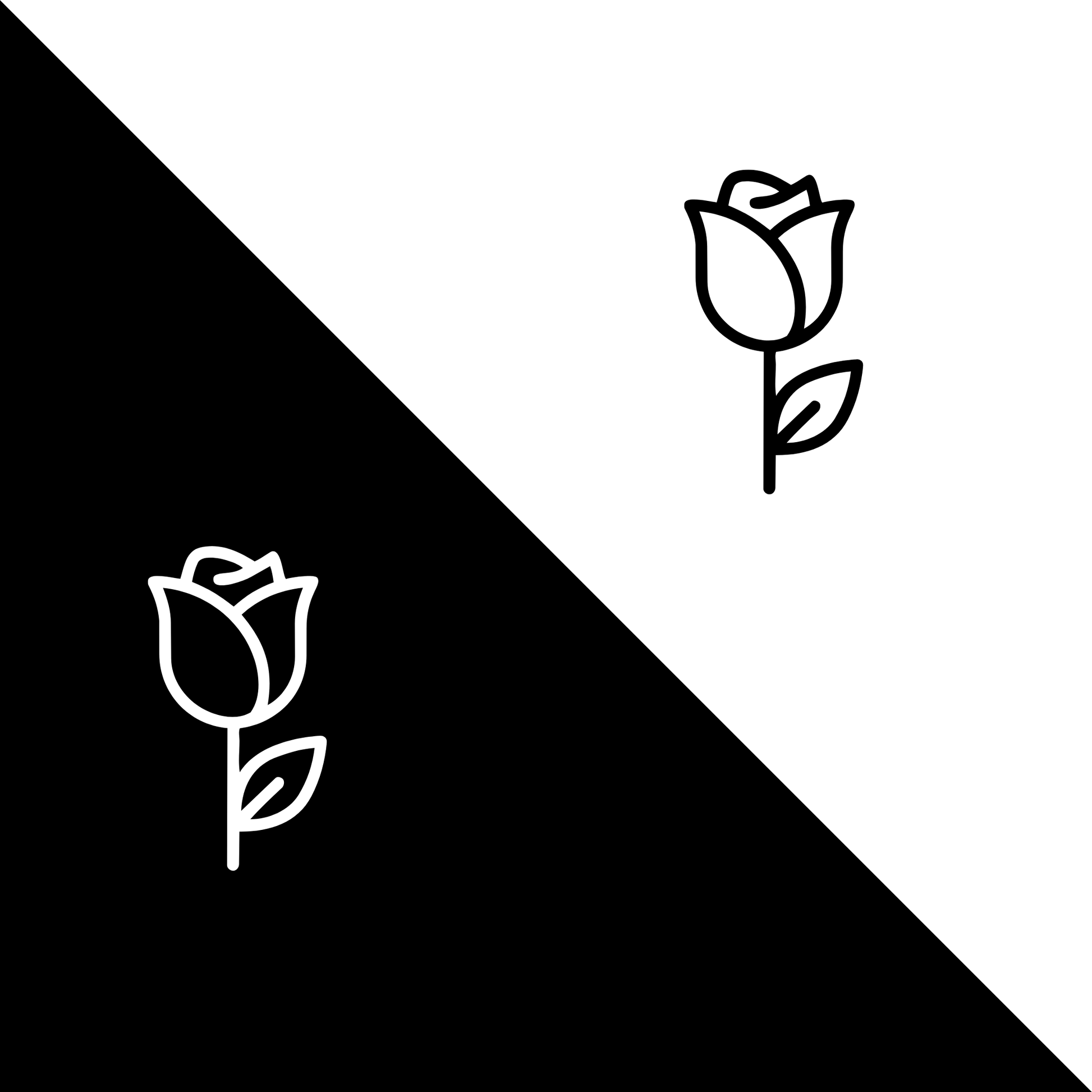 Roos